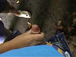 Ogromna Cycatka MILF Rogacz W Lesie