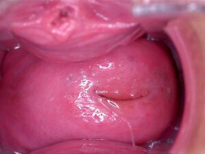 Wredna Czeska ślicznotka Rozkłada Swoją Rozłożoną Cipkę Na Dziwaczność. Wykwintna Czeska Brzoskwinia Rozchyla Przystrzyżoną Dziurkę I Wpycha Zabawną Zabawkę Erotyczną Głęboko, Mając Najlepszy Orgazm