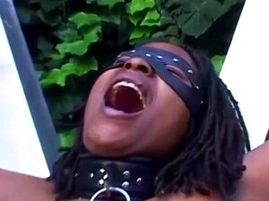 Трактабилни црни Паинробови бичевани до суза