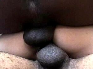 Crnci Jebu Bijelu Curu Jane