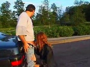 Курве на аутопуту