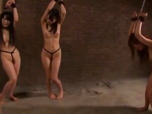 Astonishing Sex Video Asian Great Ever Seen