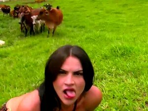 Flirtige Transe Im Schicken Leopardenkleid Zeigt Riesigen Arsch