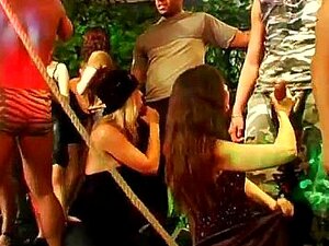 Skitig Dans Med Lustiga Honungar