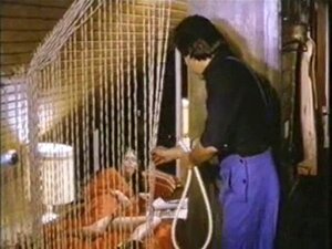 Винтаге П. Ромберг Касимир 1.лк931