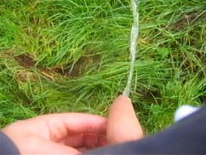 Performing A Good Old Fashioned Piss