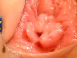 Pussy Close Up And Speculum. Pussy Amateur Close Up Speculum And Speculum