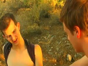 Gay Film Av Med Den Heta Solnedgången Som Badar Dem I Ett Varmt Sken,