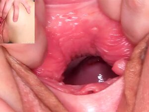 Adorabile Ceco Idol è Stretching Rasato Honey Pot E Inserti Bizzare Fanculo Giocattolo Proper Dentro Avendo Il Migliore Orgasmo